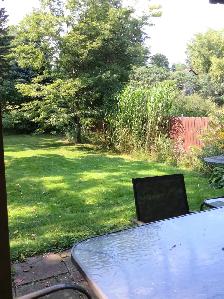 McMaster Males furnished house. 2of4 rms avail. INCL utilities - Photo 9