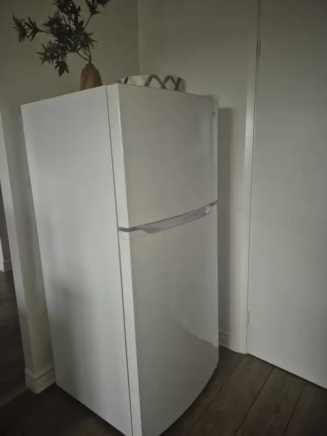 Fridge stove and freezer