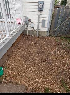 Keter Darwin Utility Shed – 6 x 8 - Photo 2