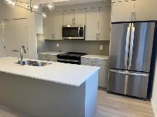 Nice location NEW FULLY DETACHED HOUSE in Alces, South Edmonton - Photo 4