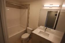 Nice location NEW FULLY DETACHED HOUSE in Alces, South Edmonton - Photo 9
