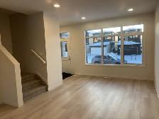 Nice location NEW FULLY DETACHED HOUSE in Alces, South Edmonton - Photo 10