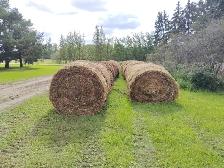 Cheap round bales for bedding - Photo 2