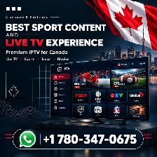 QUALITY IPT\/ SERVICES