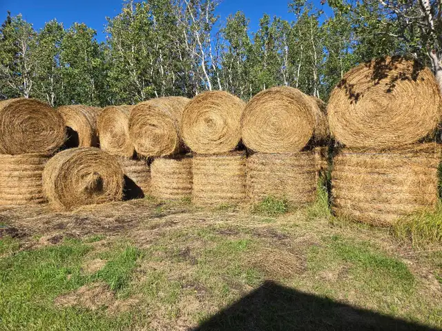 Hay for Sale