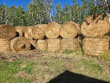 Hay for Sale