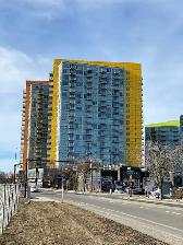 Bright lots of Sunshine-2BR Prkg Next 2 UofC, LRT,Brentwood mall - Photo 9