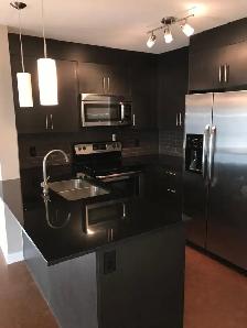 Executive Top floor 2 bedroom 1 bathroom Skyview condo NE - Photo 6