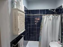 Room for woman in shared luxurious loft in NDG, Montreal $850 - Photo 11