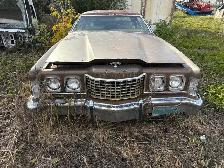Thunderbird