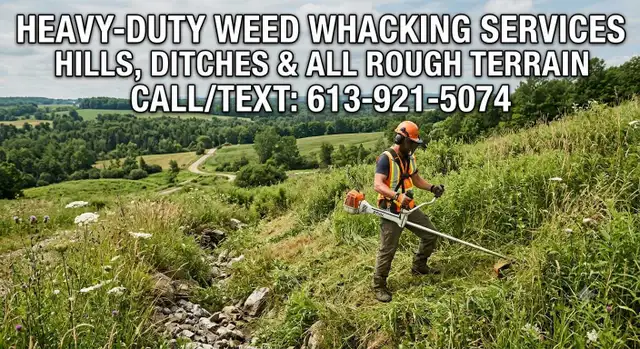 Weed Whacking Service