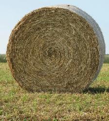 Hay bales