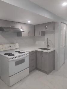 Renovated 2-Bedroom walkout basement(McCowan&Alton Tower Circle) - Photo 7