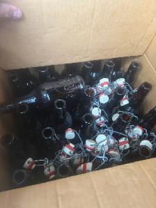 free bottles from making wine and beer - Photo 2