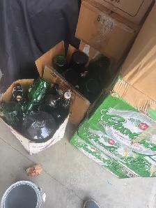 free bottles from making wine and beer - Photo 4