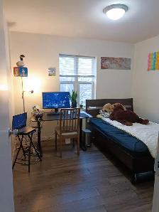 1 bedroom winter sublet