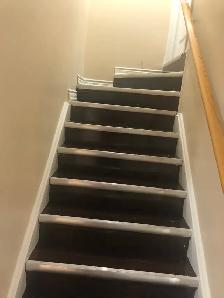 Spacious 2 Bedrooms   1 Bath   1 Large Den Basement for Rent - Photo 9