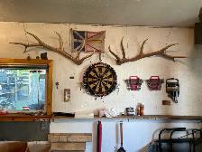 six point elk antler sheds