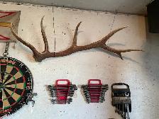 six point elk antler sheds - Photo 2