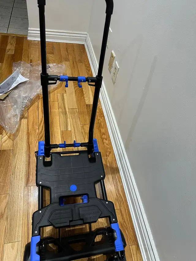 Amazon Dolly