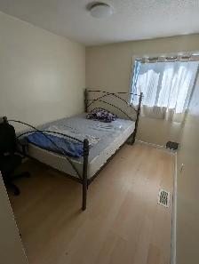 Heron Gate Mall, easy to downtown and school. all inclusive, ASA - Photo 5