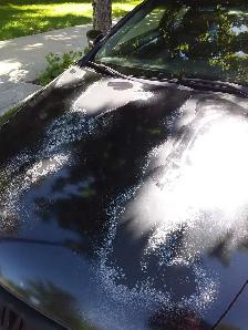 Accord a vendre - Photo 7