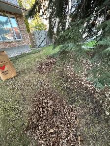 CNB LIGHT CONSTRUCTION – LAWN CARE & JUNK REMOVAL SERVICES - Photo 3