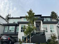 2-Bedroom Basement Suite for Rent – South Surrey | $1,850/month
