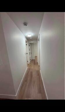 2-Bedroom Basement Suite for Rent – South Surrey | $1,850/month - Photo 5