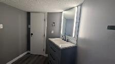 Basement suite for rent $1350 DD - Photo 7