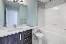 3.5BR   2.5Bath Open Concept Main Floor Home - Photo 18