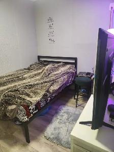 Basement Pvt Room in  Scarborough - Available NOW
