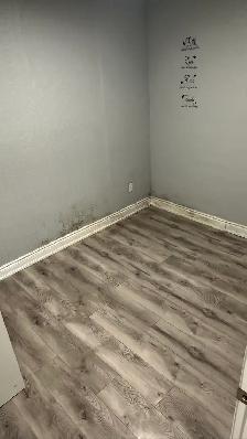 Basement Pvt Room in  Scarborough - Available NOW - Photo 10