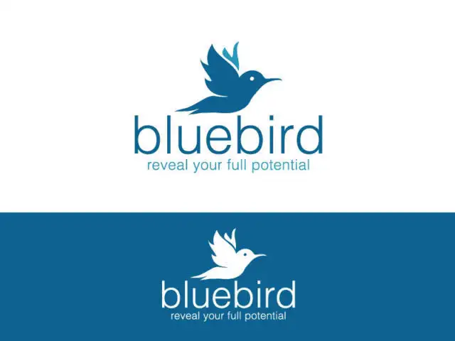 Graphic Designer - Logos, Vector, BCards, WebD, Labels, Branding