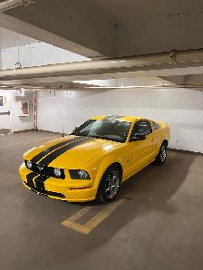 2006 Mustang GT Low kms