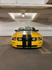 2006 Mustang GT Low kms - Photo 3
