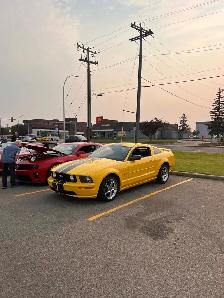 2006 Mustang GT Low kms - Photo 4
