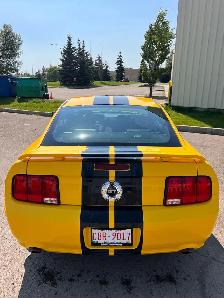 2006 Mustang GT Low kms - Photo 7