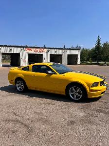 2006 Mustang GT Low kms - Photo 8