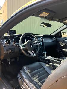 2006 Mustang GT Low kms - Photo 9