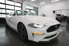 2020 Ford Mustang 2.3 ECOBOOST - Photo 11