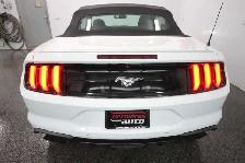 2020 Ford Mustang 2.3 ECOBOOST - Photo 15