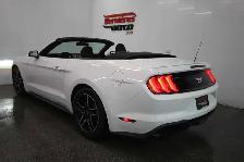 2020 Ford Mustang 2.3 ECOBOOST - Photo 17