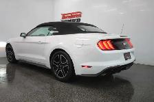 2020 Ford Mustang 2.3 ECOBOOST - Photo 18