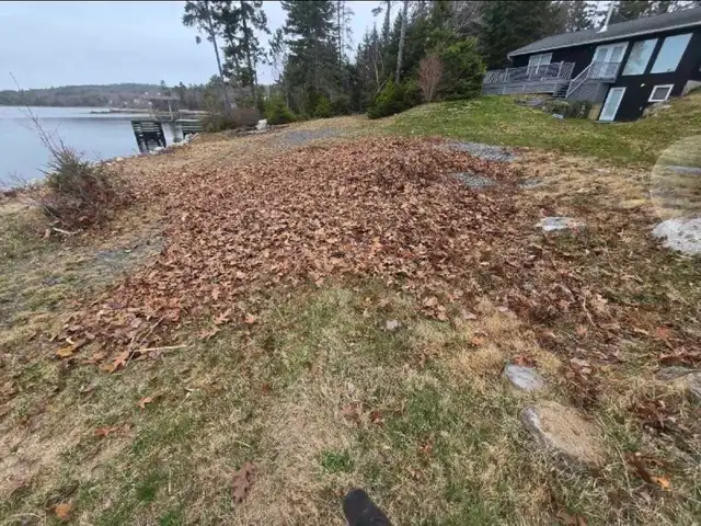 Reduce Fire Risk with Fall Forest Floor & Property Cleanup