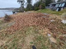Reduce Fire Risk with Fall Forest Floor & Property Cleanup