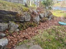 Reduce Fire Risk with Fall Forest Floor & Property Cleanup - Photo 2
