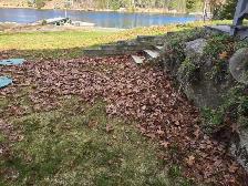 Reduce Fire Risk with Fall Forest Floor & Property Cleanup - Photo 3