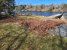Reduce Fire Risk with Fall Forest Floor & Property Cleanup - Photo 4