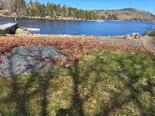 Reduce Fire Risk with Fall Forest Floor & Property Cleanup - Photo 5